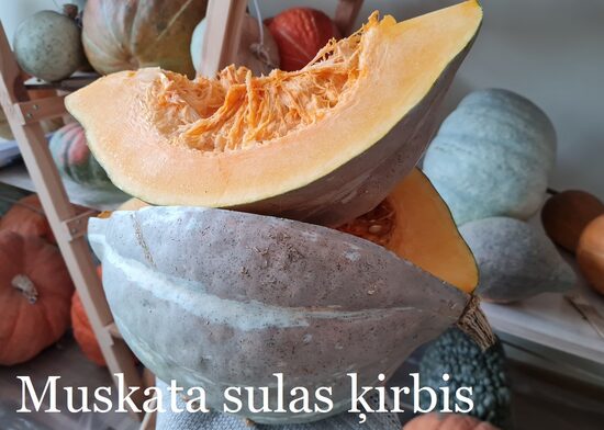 Muskata sulas ķirbis (ķirbju sēklas)